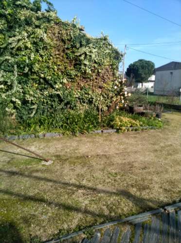 Quintinha T3 Venda em Carrapichana,Celorico da Beira