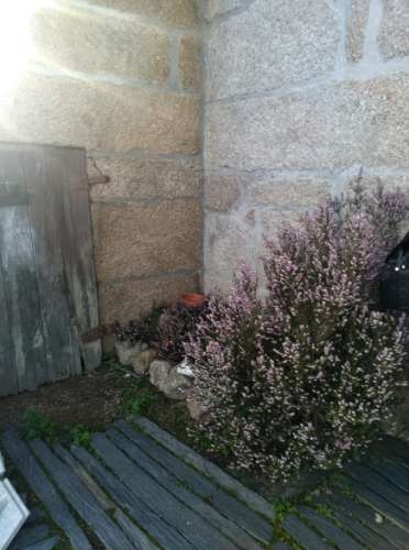 Quintinha T3 Venda em Carrapichana,Celorico da Beira