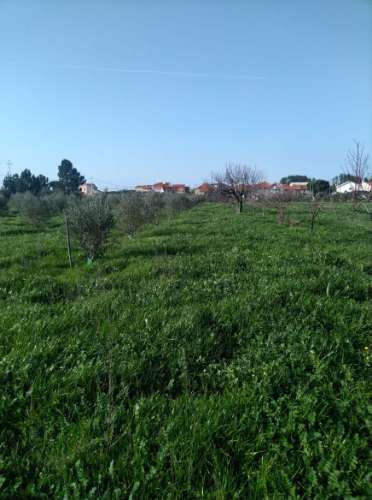 Quintinha T3 Venda em Carrapichana,Celorico da Beira