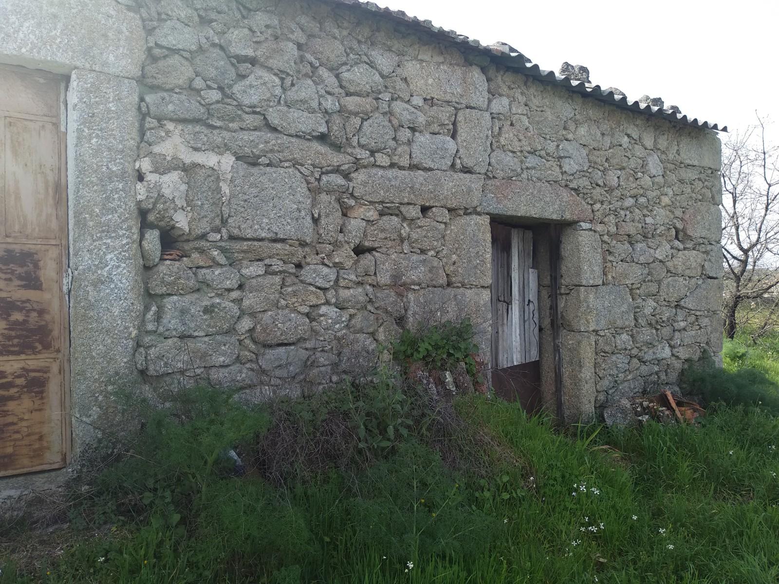 Quinta  Venda em Castelo Branco,Castelo Branco