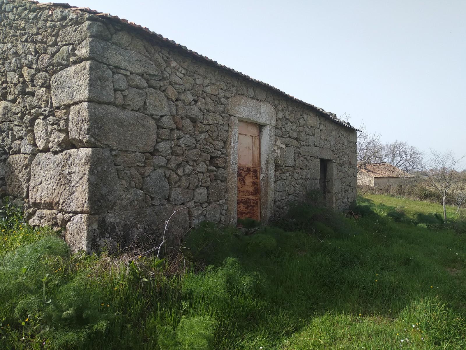 Quinta  Venda em Castelo Branco,Castelo Branco