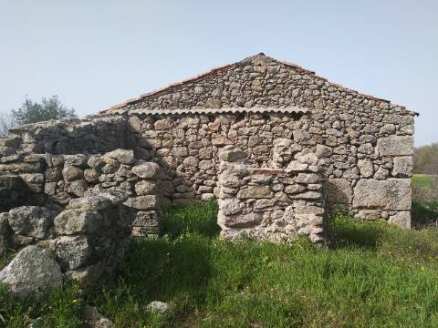 Quinta  Venda em Castelo Branco,Castelo Branco