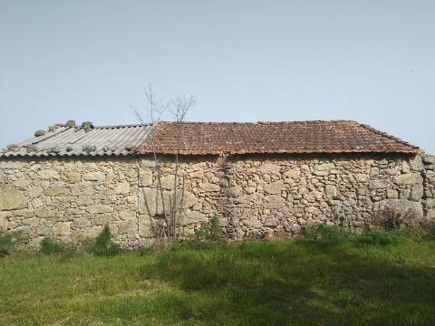 Quinta  Venda em Castelo Branco,Castelo Branco