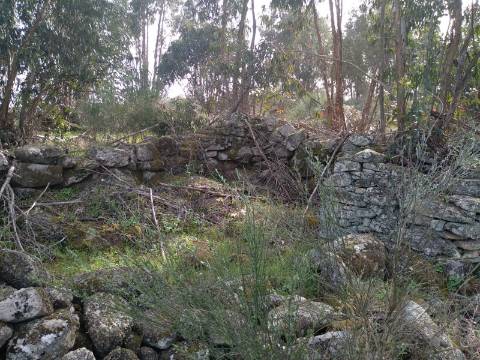 Quinta  Venda em Castelo Branco,Castelo Branco