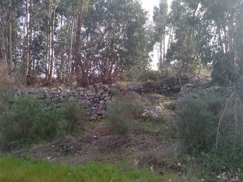 Quinta  Venda em Castelo Branco,Castelo Branco