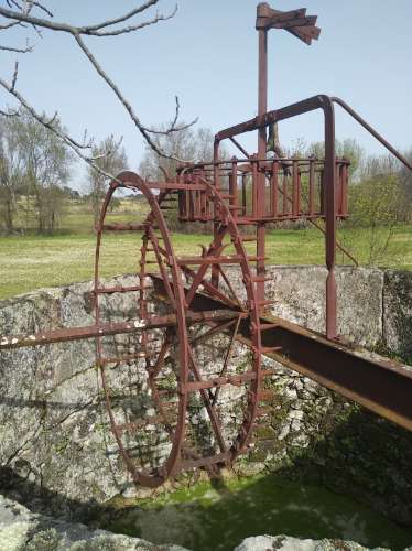 Quinta  Venda em Castelo Branco,Castelo Branco