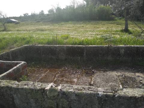Quinta  Venda em Castelo Branco,Castelo Branco