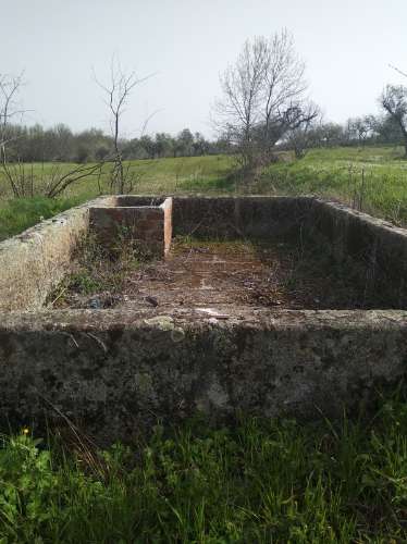 Quinta  Venda em Castelo Branco,Castelo Branco