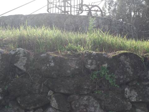 Quinta  Venda em Castelo Branco,Castelo Branco