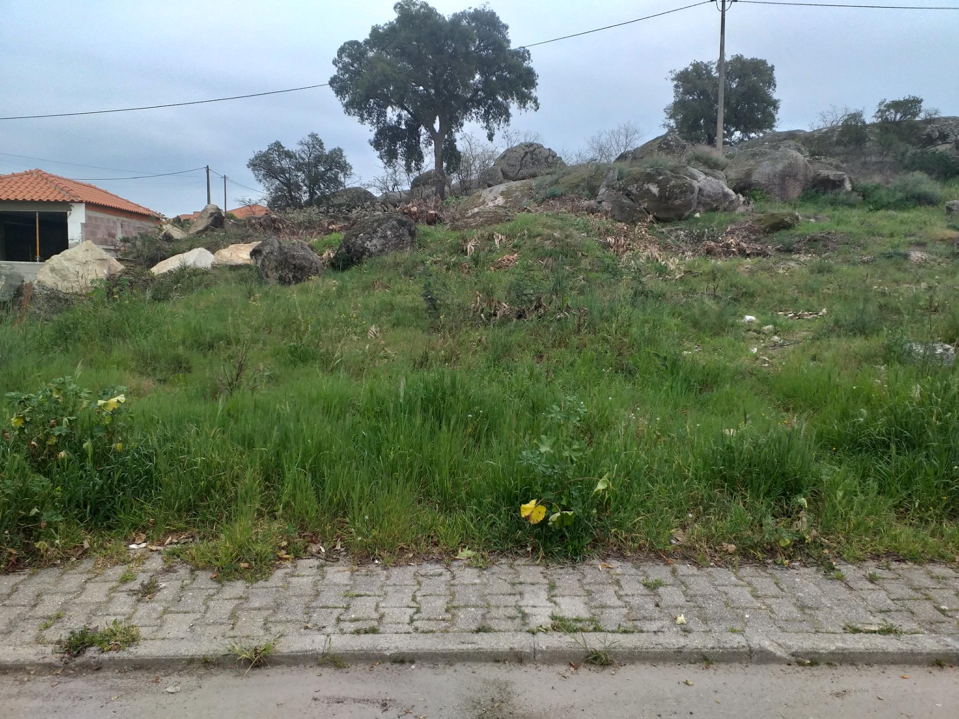 Lote de Terreno  Venda em Castelo Branco,Castelo Branco