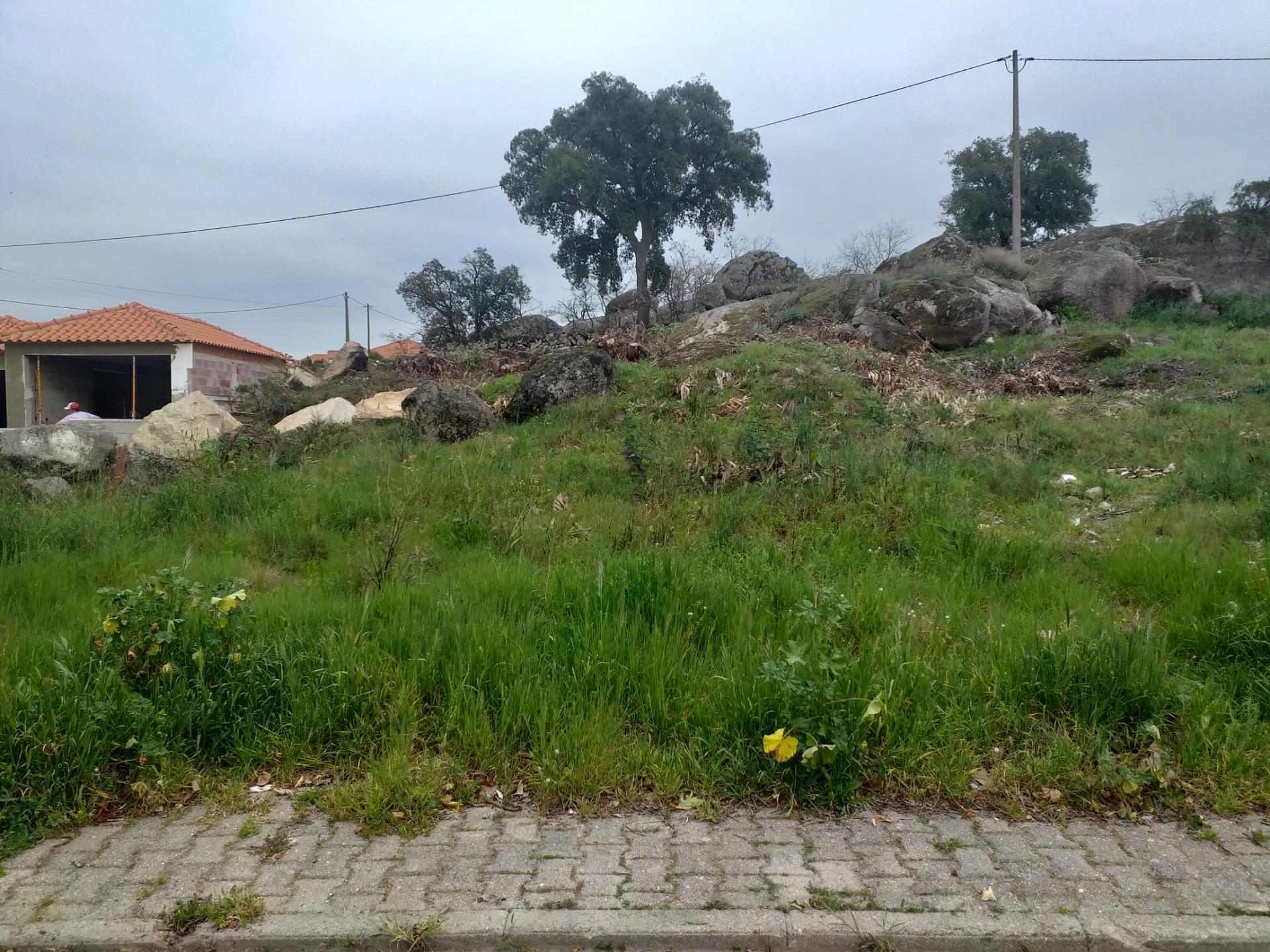 Lote de Terreno  Venda em Castelo Branco,Castelo Branco