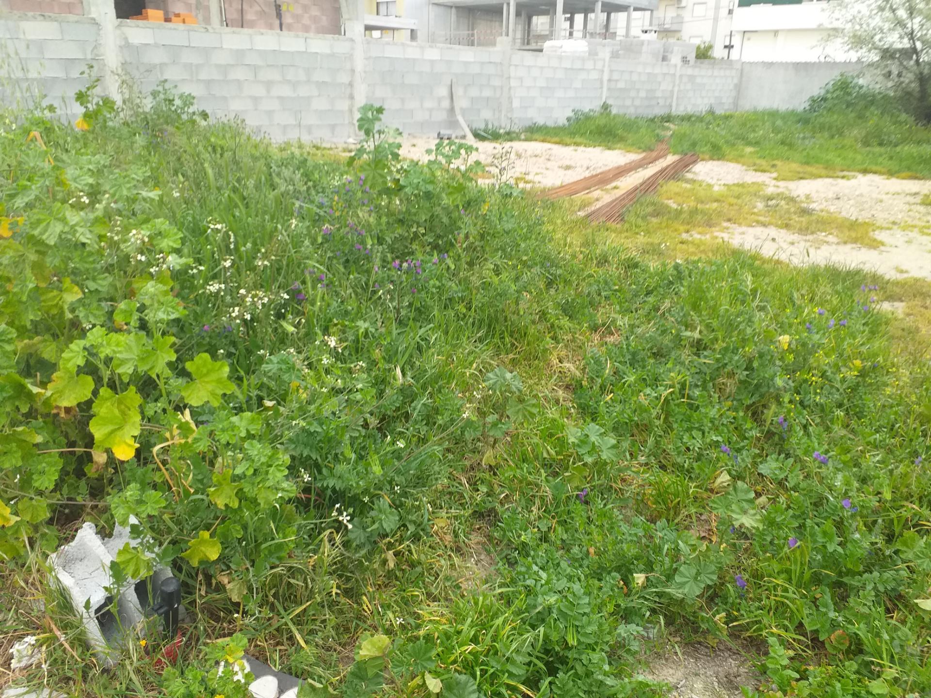 Lote de Terreno  Venda em Castelo Branco,Castelo Branco