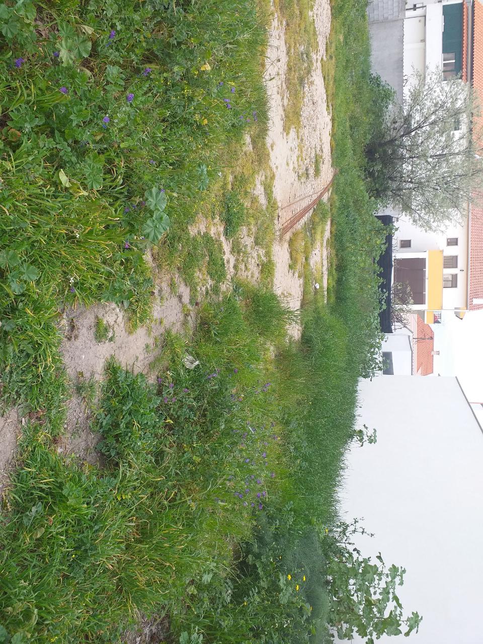 Lote de Terreno  Venda em Castelo Branco,Castelo Branco