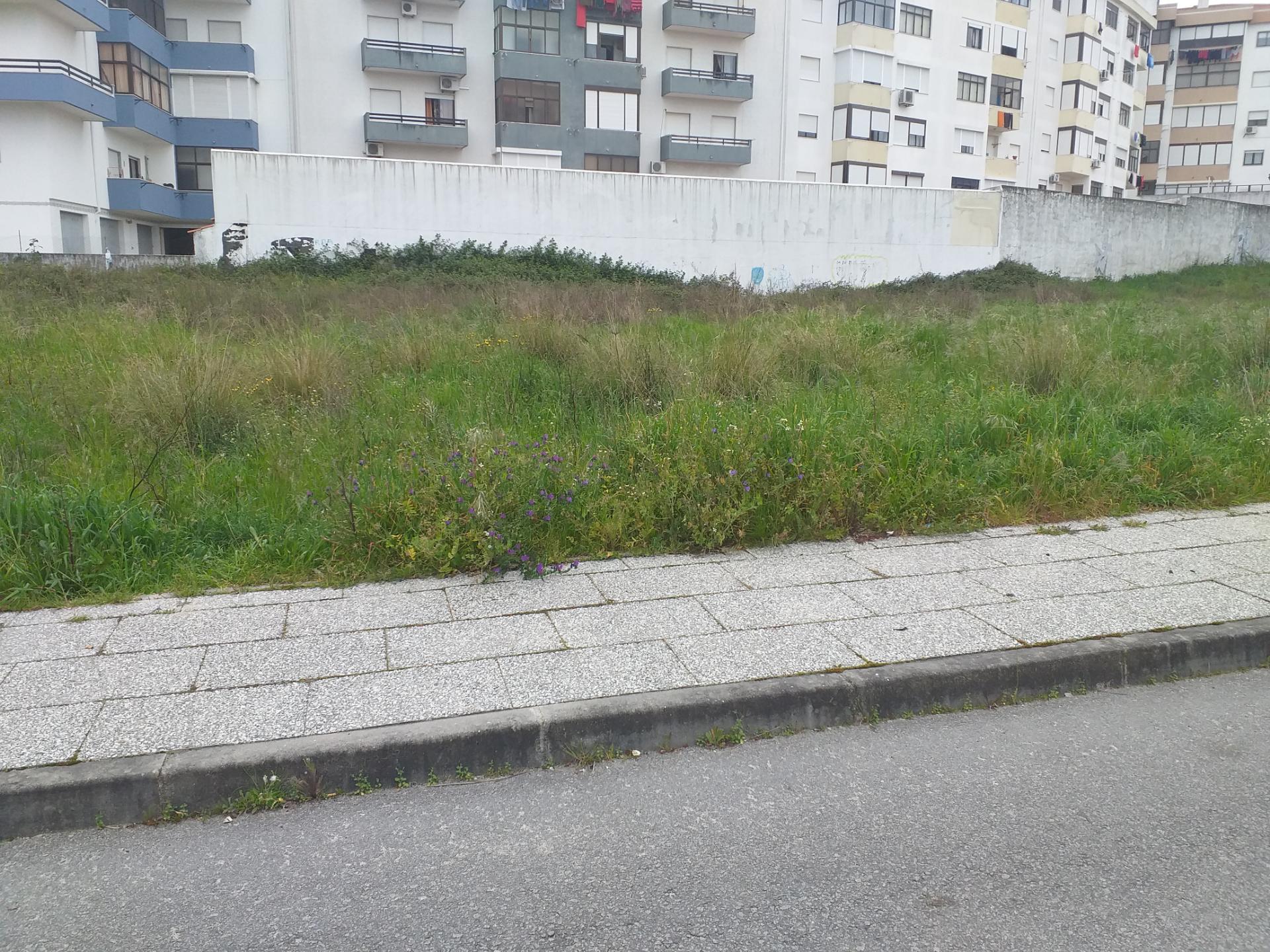 Lote de Terreno  Venda em Castelo Branco,Castelo Branco