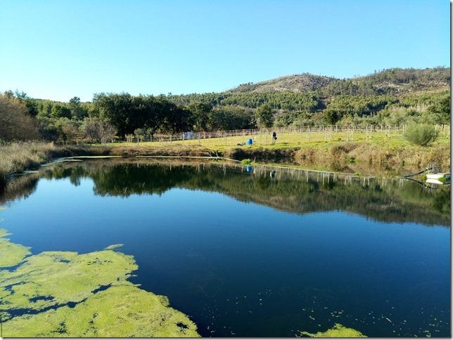 Quinta  Venda em Louriçal do Campo,Castelo Branco