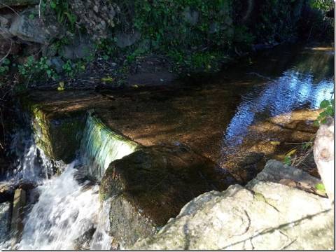 Quinta  Venda em Louriçal do Campo,Castelo Branco