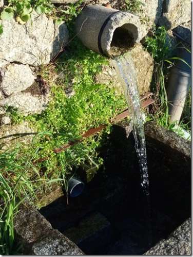 Quinta  Venda em Louriçal do Campo,Castelo Branco