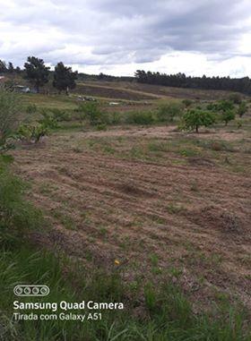 Herdade  Venda em Freixial e Juncal do Campo,Castelo Branco