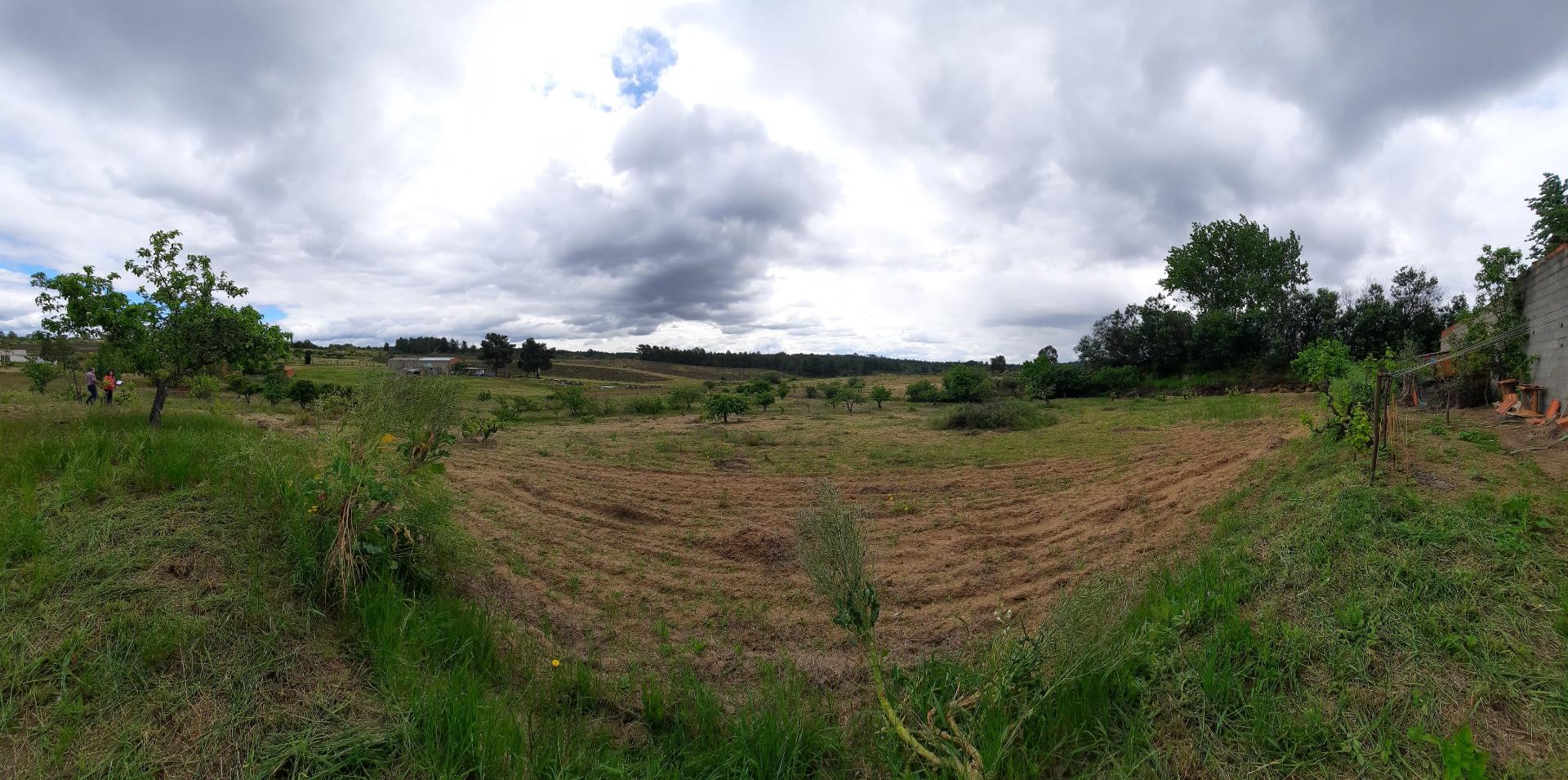 Herdade  Venda em Freixial e Juncal do Campo,Castelo Branco