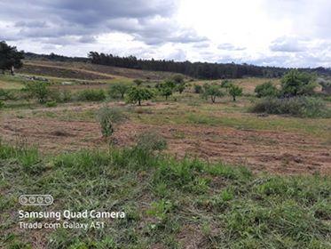 Herdade  Venda em Freixial e Juncal do Campo,Castelo Branco