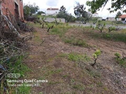 Herdade  Venda em Freixial e Juncal do Campo,Castelo Branco