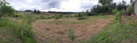 Herdade  Venda em Freixial e Juncal do Campo,Castelo Branco