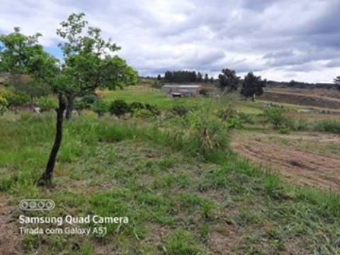 Herdade  Venda em Freixial e Juncal do Campo,Castelo Branco