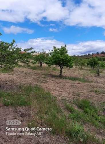 Herdade  Venda em Freixial e Juncal do Campo,Castelo Branco