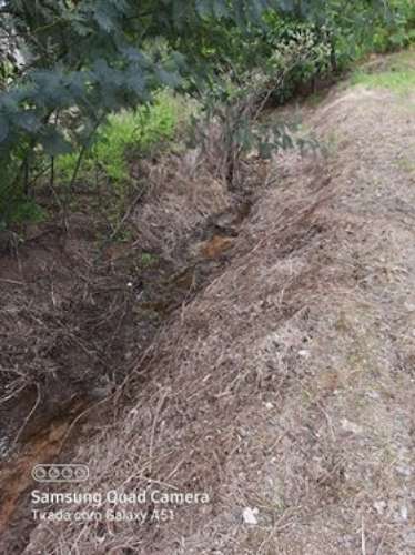 Herdade  Venda em Freixial e Juncal do Campo,Castelo Branco