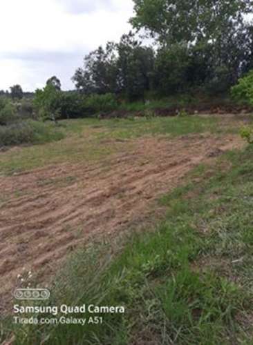 Herdade  Venda em Freixial e Juncal do Campo,Castelo Branco