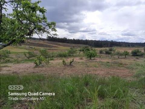 Herdade  Venda em Freixial e Juncal do Campo,Castelo Branco