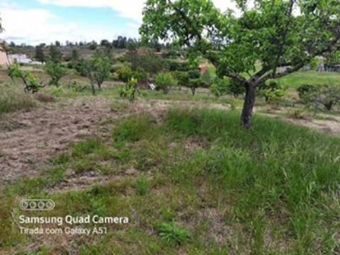 Herdade  Venda em Freixial e Juncal do Campo,Castelo Branco