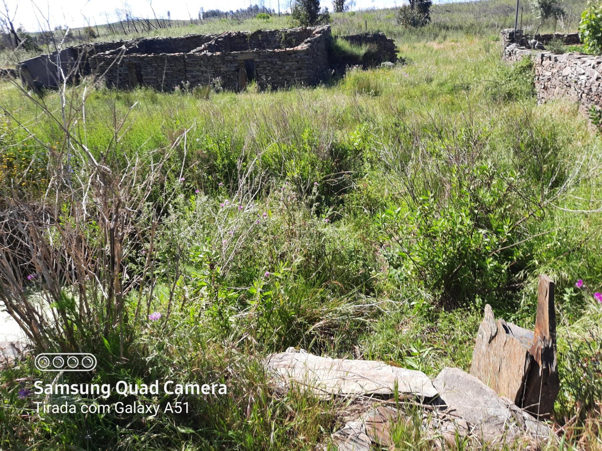 Quintinha  Venda em Freixial e Juncal do Campo,Castelo Branco