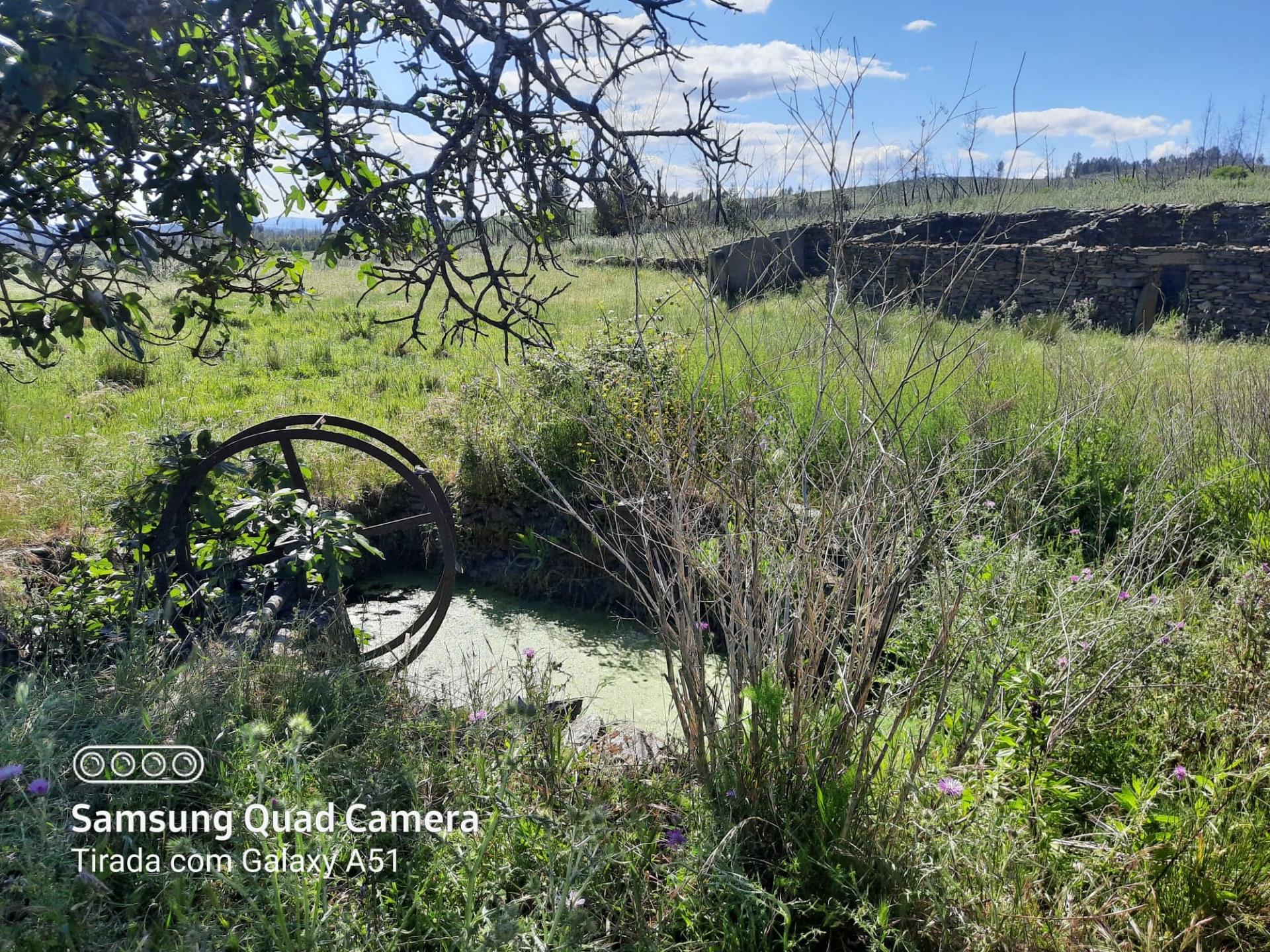 Quintinha  Venda em Freixial e Juncal do Campo,Castelo Branco