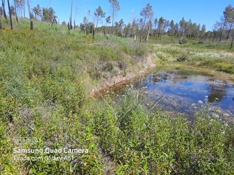 Quintinha  Venda em Freixial e Juncal do Campo,Castelo Branco