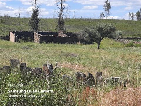 Quintinha  Venda em Freixial e Juncal do Campo,Castelo Branco