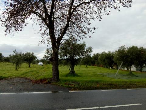Terreno Rústico  Venda em Ladoeiro,Idanha-a-Nova