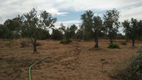 Terreno Rústico  Venda em Ladoeiro,Idanha-a-Nova
