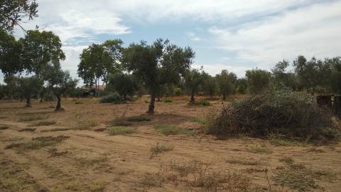 Terreno Rústico  Venda em Ladoeiro,Idanha-a-Nova