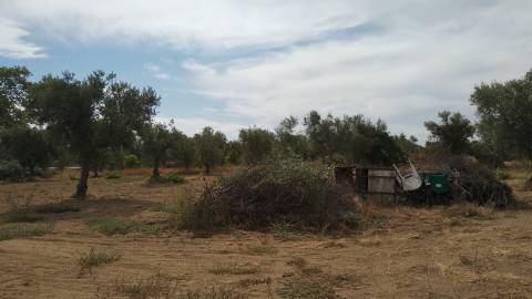 Terreno Rústico  Venda em Ladoeiro,Idanha-a-Nova