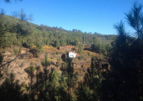 Quintinha  Venda em Sobreira Formosa e Alvito da Beira,Proença-a-Nova