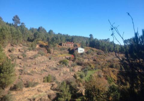 Quintinha  Venda em Sobreira Formosa e Alvito da Beira,Proença-a-Nova