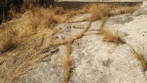 Moradia Rústica T1 Venda em Monsanto e Idanha-a-Velha,Idanha-a-Nova