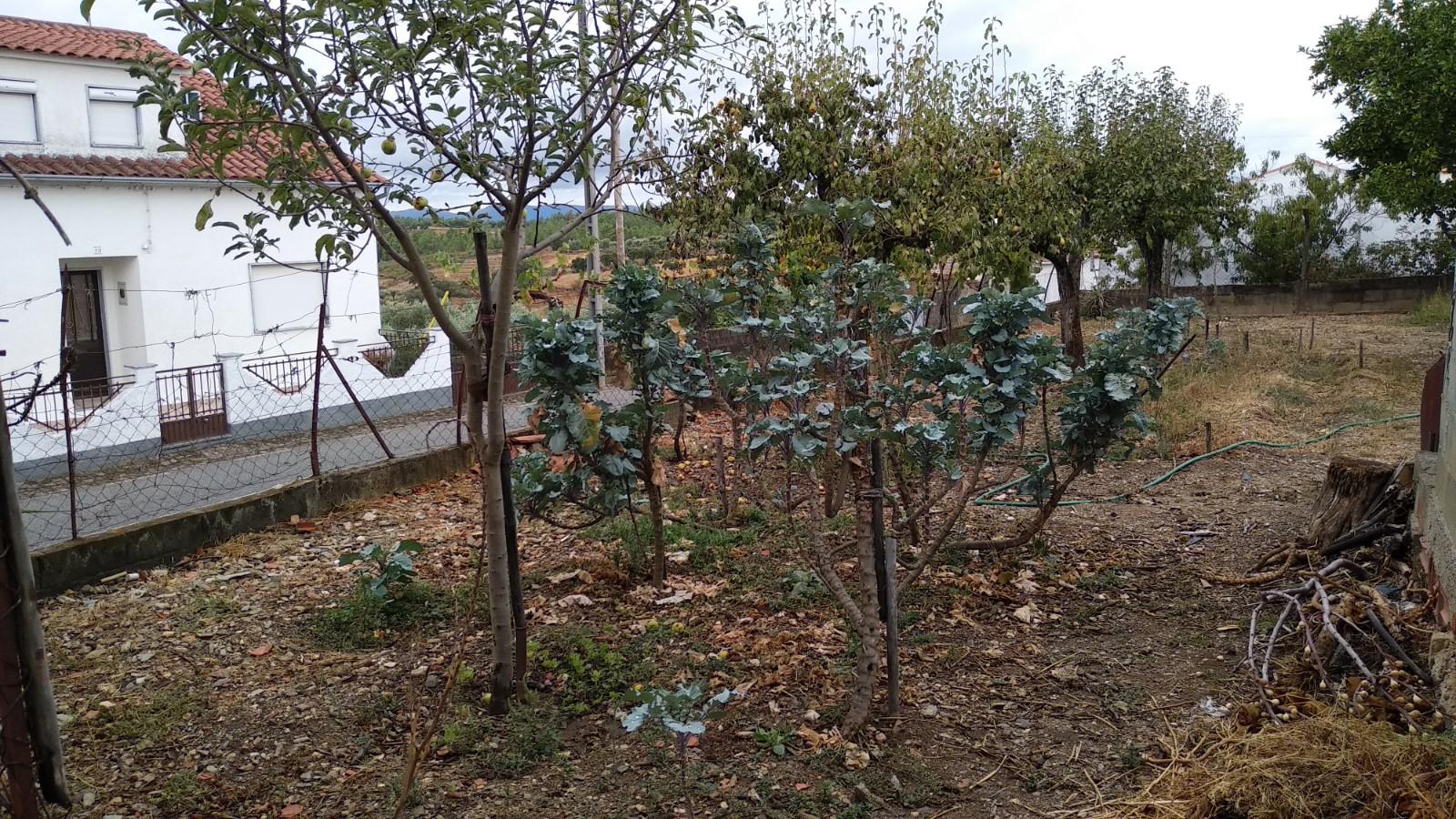 Terreno Urbano  Venda em Cebolais de Cima e Retaxo,Castelo Branco