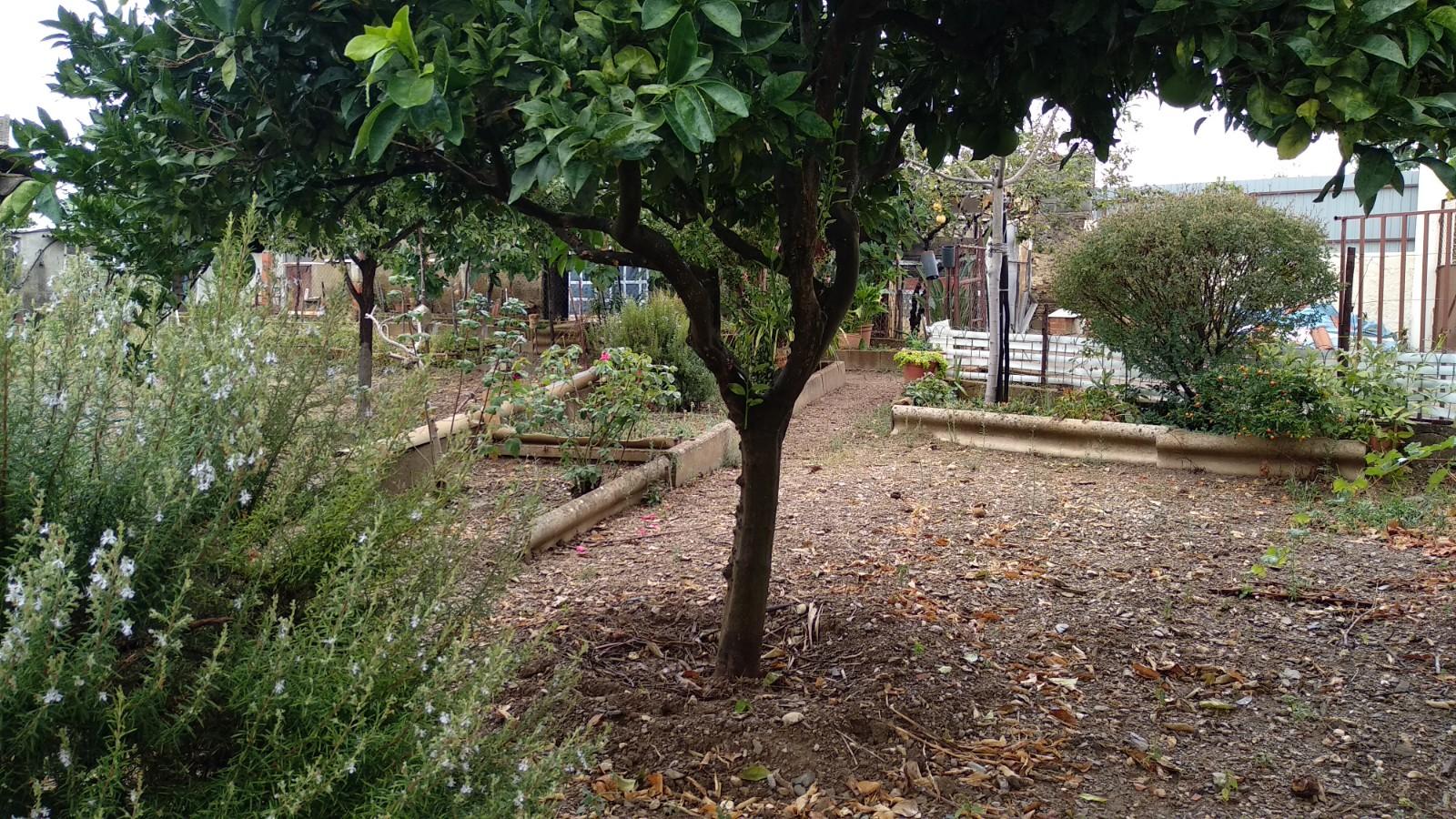 Terreno Urbano  Venda em Cebolais de Cima e Retaxo,Castelo Branco