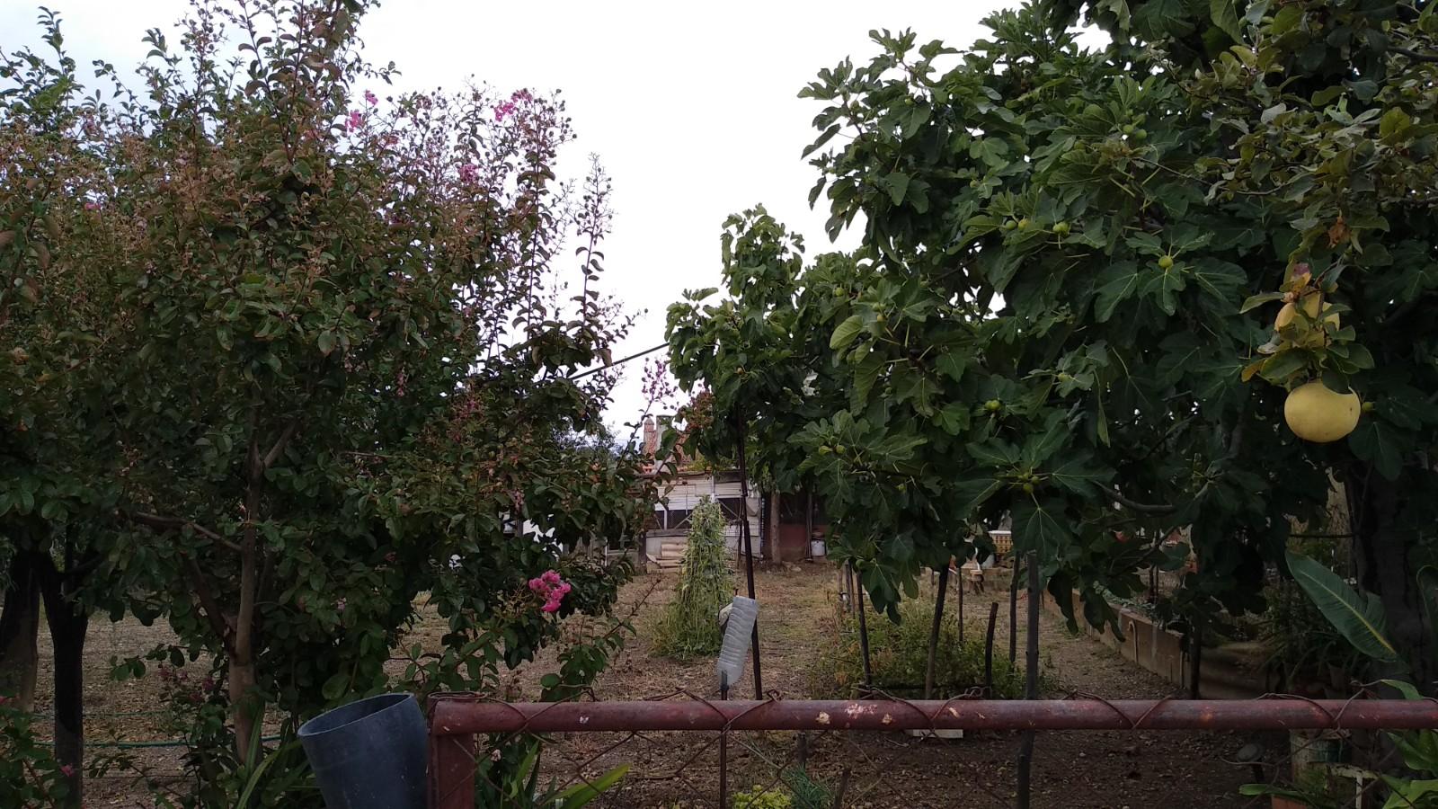 Terreno Urbano  Venda em Cebolais de Cima e Retaxo,Castelo Branco