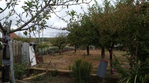 Terreno Urbano  Venda em Cebolais de Cima e Retaxo,Castelo Branco