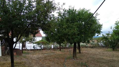 Terreno Urbano  Venda em Cebolais de Cima e Retaxo,Castelo Branco