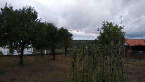 Terreno Urbano  Venda em Cebolais de Cima e Retaxo,Castelo Branco