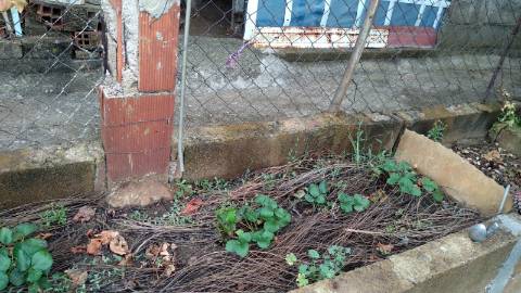 Terreno Urbano  Venda em Cebolais de Cima e Retaxo,Castelo Branco